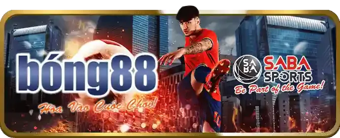 Video Slot 5 cuộn hiện đại